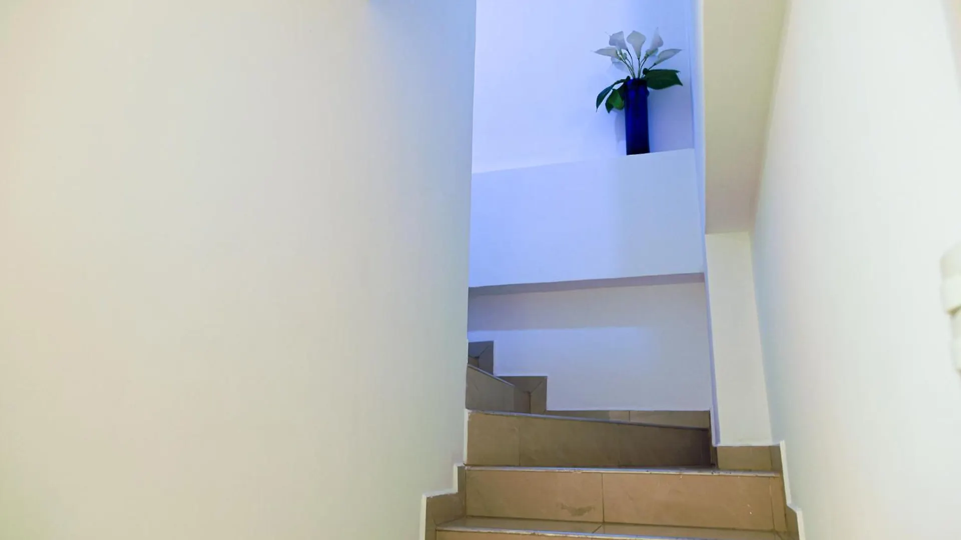 Acogedor Apartamento En קראקס